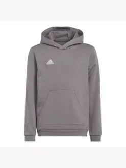 Adidas Entrada 22 Sweat Hoodie